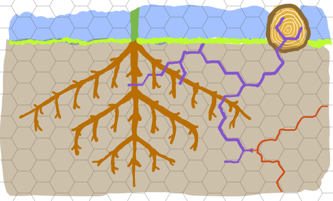 Early sketch of the fungi game